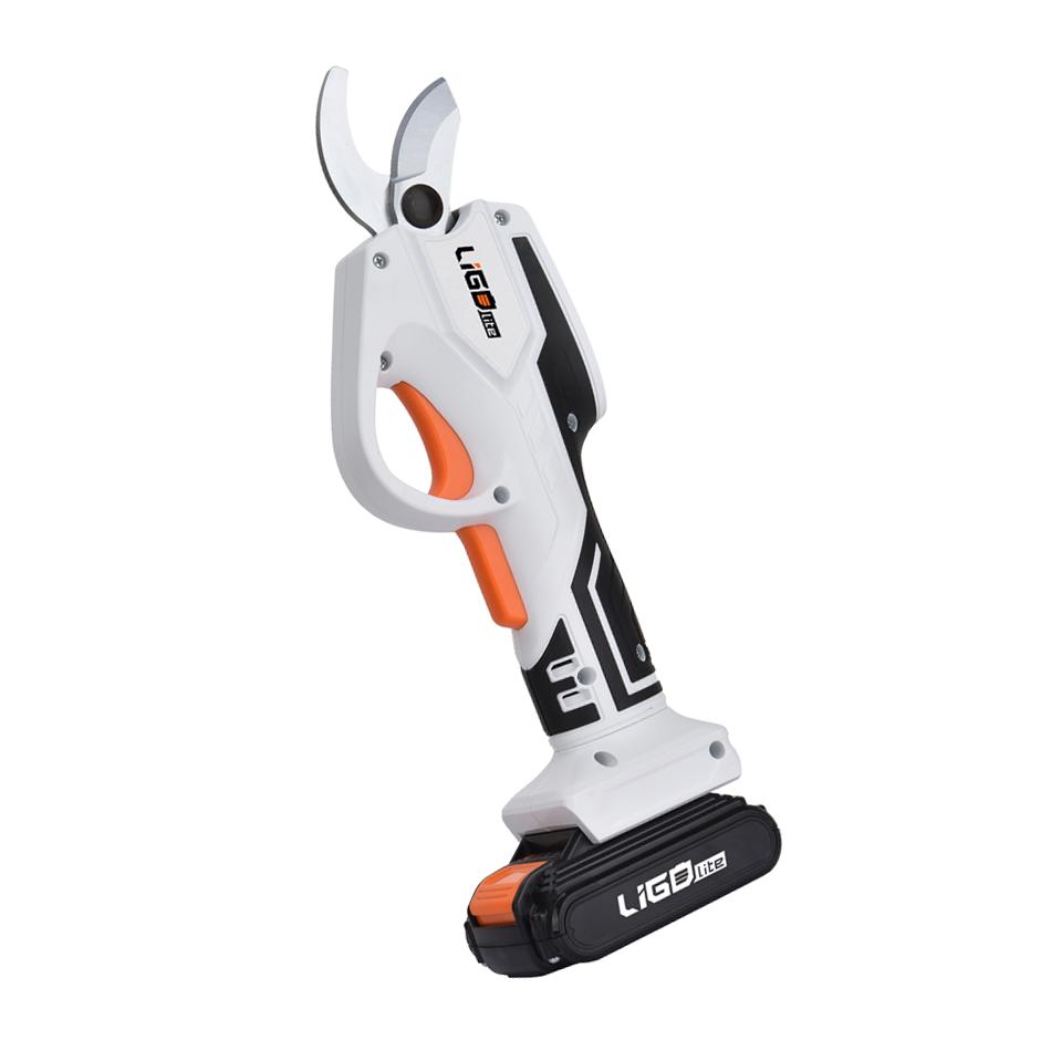 Pruner & Chainsaws - LIGO lite